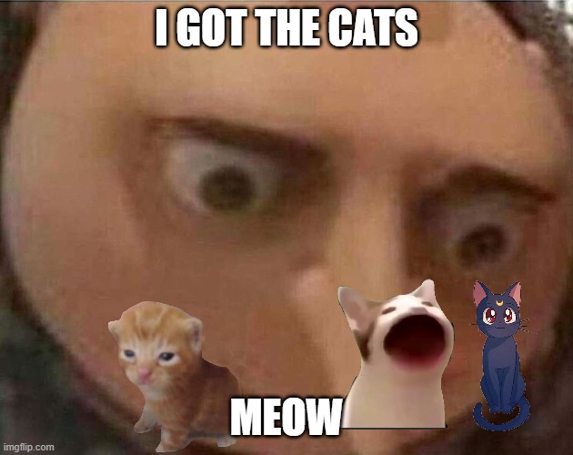 GrU gOt CaTs | I GOT THE CATS; MEOW | image tagged in gru meme | made w/ Imgflip meme maker