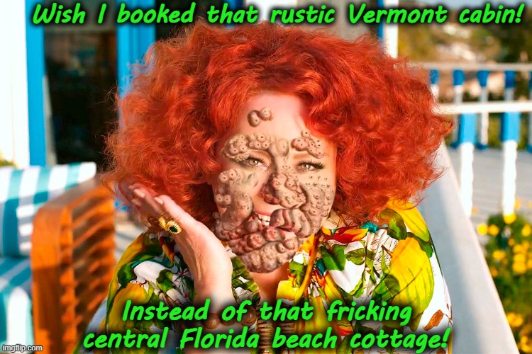 Central Florida is a hot spot for leprosy! | Wish I booked that rustic Vermont cabin! Instead of that fricking
central Florida beach cottage! | image tagged in florida,leprosy,melissa mccarthy,tourism | made w/ Imgflip meme maker