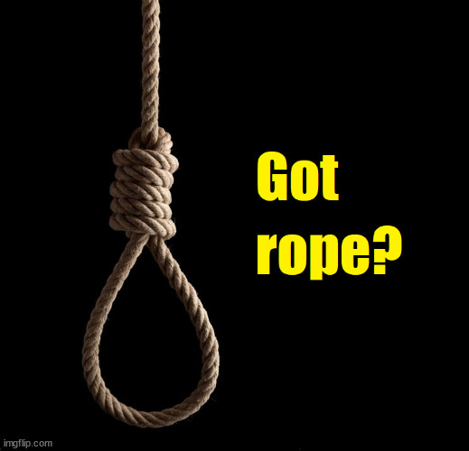 Got Rope | image tagged in got rope | made w/ Imgflip meme maker