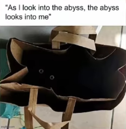 Kitty Kitty In The Void | image tagged in funny,cats,fun | made w/ Imgflip meme maker
