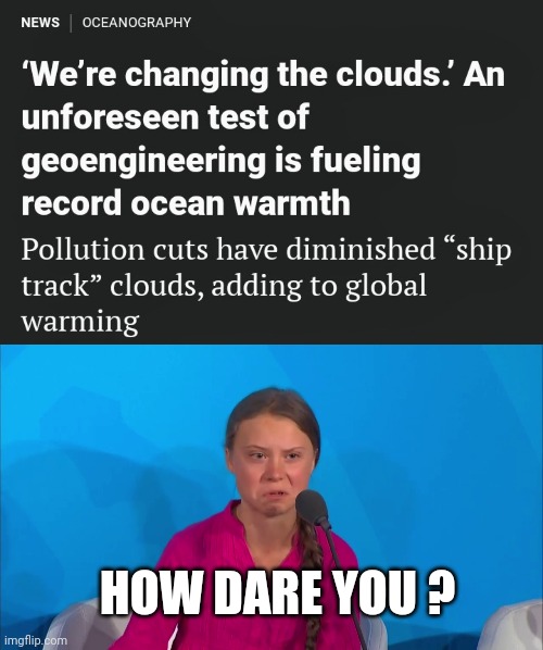 Some people could F*ck up a Soup sandwich | HOW DARE YOU ? | image tagged in how dare you - greta thunberg,task failed successfully,global warming,do it again,alright gentlemen we need a new idea | made w/ Imgflip meme maker