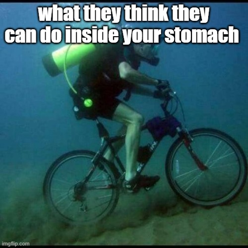 Scuba Diving Bicycle | what they think they can do inside your stomach | image tagged in scuba diving bicycle | made w/ Imgflip meme maker