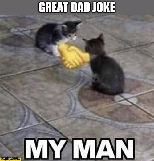 Cats shaking hands | GREAT DAD JOKE | image tagged in cats shaking hands | made w/ Imgflip meme maker