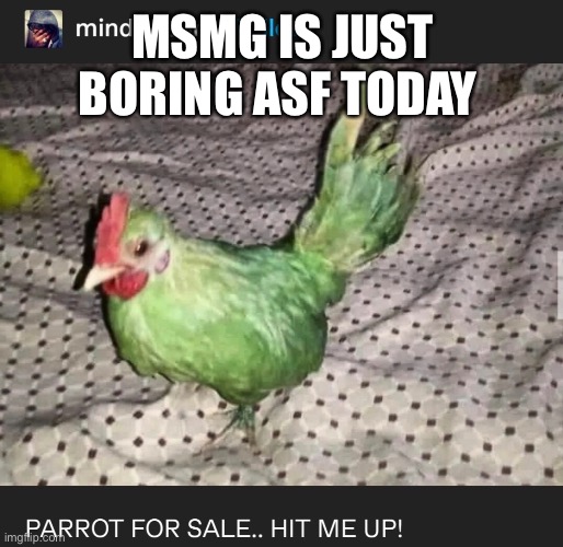MSMG IS JUST BORING ASF TODAY | made w/ Imgflip meme maker