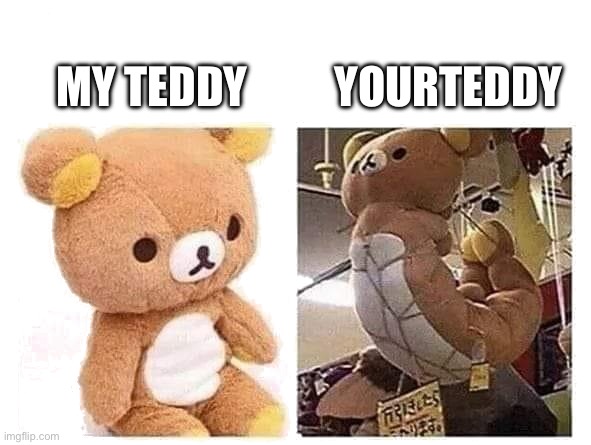 Teddy bears | YOURTEDDY; MY TEDDY | image tagged in tied up teddy bear | made w/ Imgflip meme maker
