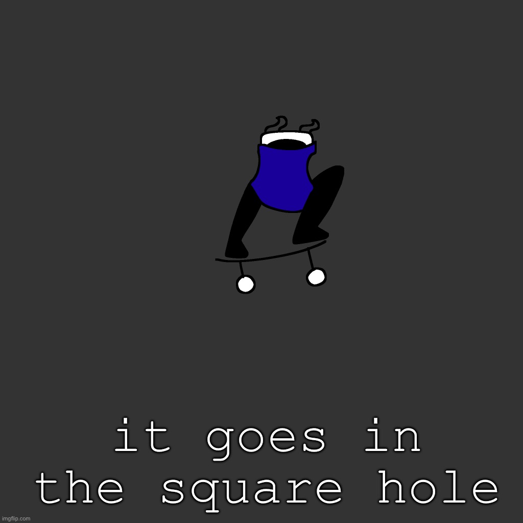 the board | it goes in the square hole | image tagged in the board | made w/ Imgflip meme maker