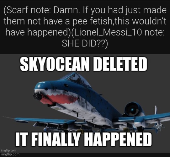 Skyocean delete? | made w/ Imgflip meme maker