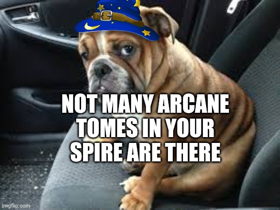 Wizard posting | NOT MANY ARCANE TOMES IN YOUR SPIRE ARE THERE | image tagged in disappointed dog overtaken on swim exit | made w/ Imgflip meme maker
