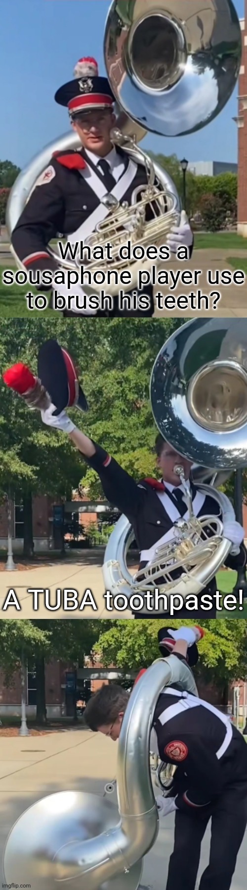This joke is low...BRASS! | What does a sousaphone player use to brush his teeth? A TUBA toothpaste! | image tagged in ohio state sousaphone bad pun,memes,tuba | made w/ Imgflip meme maker