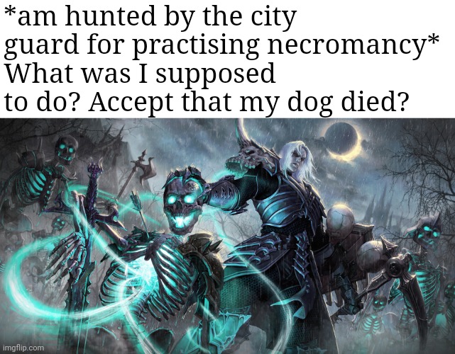 Wizard posting | *am hunted by the city guard for practising necromancy*
What was I supposed to do? Accept that my dog died? | image tagged in diablo necromancer | made w/ Imgflip meme maker