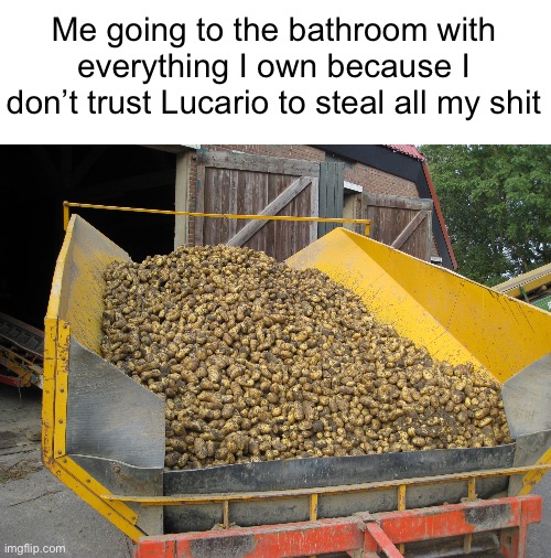 Real | Me going to the bathroom with everything I own because I don’t trust Lucario to steal all my shit | image tagged in truckload of potatoes | made w/ Imgflip meme maker
