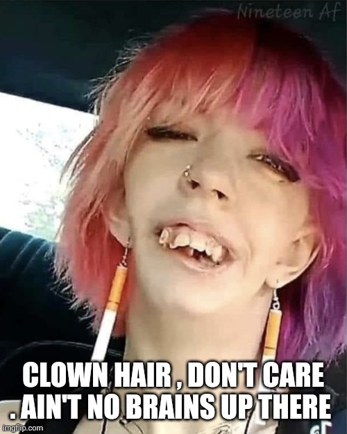 clown hair | CLOWN HAIR , DON'T CARE . AIN'T NO BRAINS UP THERE | image tagged in funny memes | made w/ Imgflip meme maker