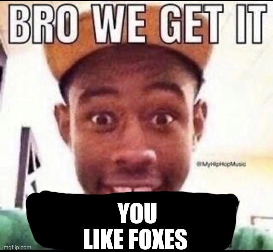 BRO WE GET IT YOU'RE GAY | YOU LIKE FOXES | image tagged in bro we get it you're gay | made w/ Imgflip meme maker