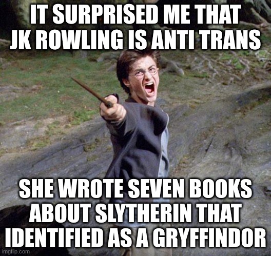Harry potter | IT SURPRISED ME THAT JK ROWLING IS ANTI TRANS; SHE WROTE SEVEN BOOKS ABOUT SLYTHERIN THAT IDENTIFIED AS A GRYFFINDOR | image tagged in harry potter | made w/ Imgflip meme maker