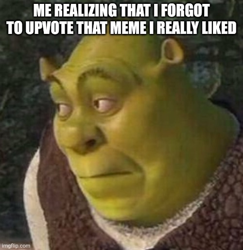 Don't ask me why I made 4 Shrek memes today | ME REALIZING THAT I FORGOT TO UPVOTE THAT MEME I REALLY LIKED | image tagged in shrek | made w/ Imgflip meme maker