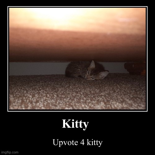Kitty ? | Kitty | Upvote 4 kitty | image tagged in funny,demotivationals,memes,upvote begging,experiment | made w/ Imgflip demotivational maker