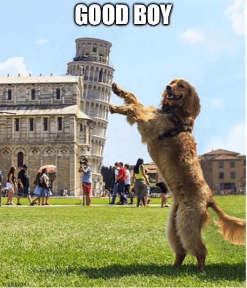 Hold up | GOOD BOY | image tagged in tower | made w/ Imgflip meme maker