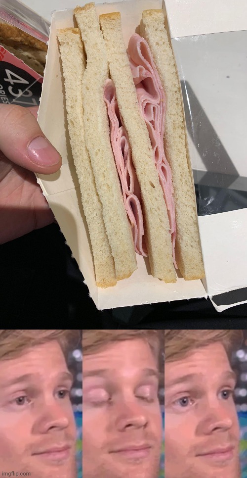 Almost got it perfect | image tagged in closes eyes,ham,sandwich,sandwiches,you had one job,memes | made w/ Imgflip meme maker