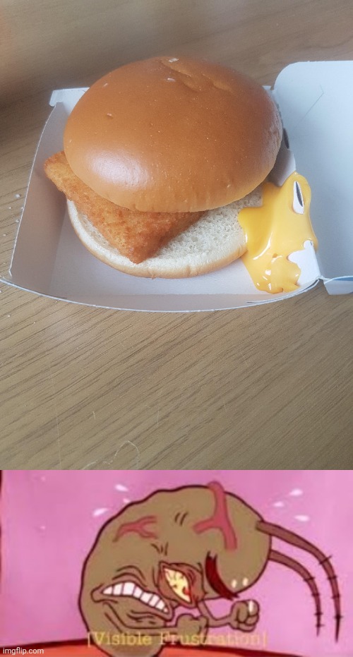 Aw yes, cheese on the side | image tagged in visible frustration,cheese,you had one job,sandwich,memes,fish sandwich | made w/ Imgflip meme maker