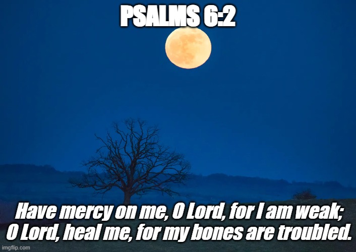 Bible Verse of the Day | PSALMS 6:2; Have mercy on me, O Lord, for I am weak;
O Lord, heal me, for my bones are troubled. | image tagged in bible verse of the day,christiansonly,psalms,jesus christ | made w/ Imgflip meme maker