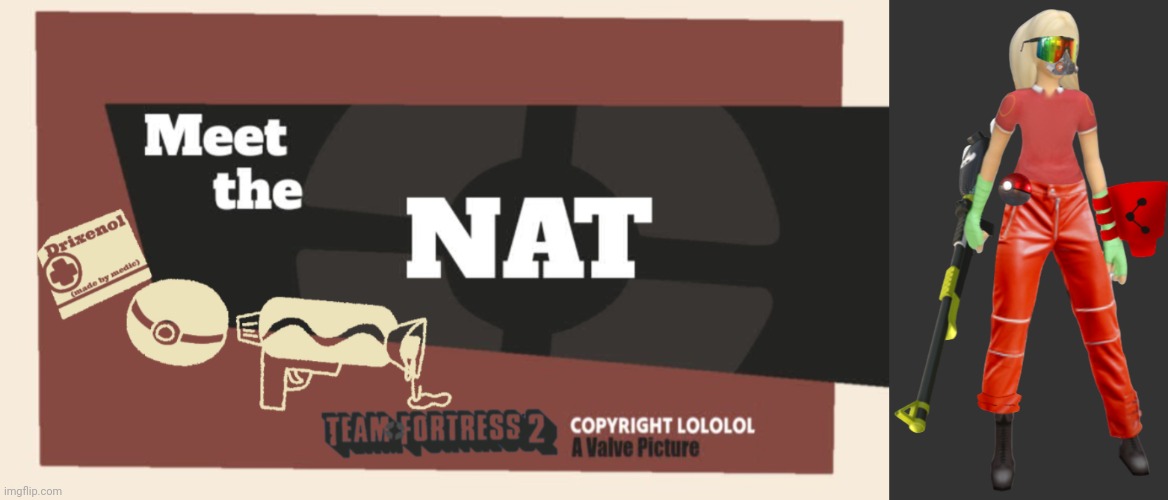 image tagged in meet the nat,nat tf2 | made w/ Imgflip meme maker