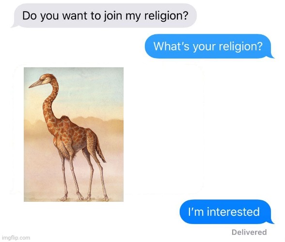 Wtf kind of religion has a bird-gieaffe as its deity?? | image tagged in whats your religion | made w/ Imgflip meme maker