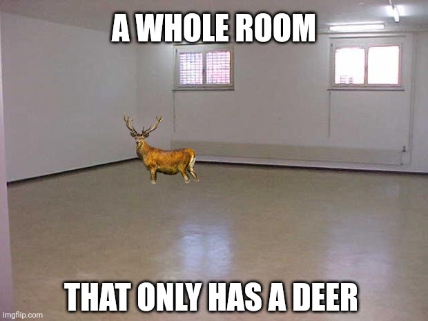 worst zone of the earth | A WHOLE ROOM; THAT ONLY HAS A DEER | image tagged in empty room,funny,memes | made w/ Imgflip meme maker