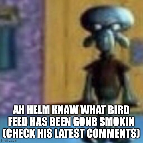 N word | AH HELM KNAW WHAT BIRD FEED HAS BEEN GONB SMOKIN (CHECK HIS LATEST COMMENTS) | image tagged in n word | made w/ Imgflip meme maker