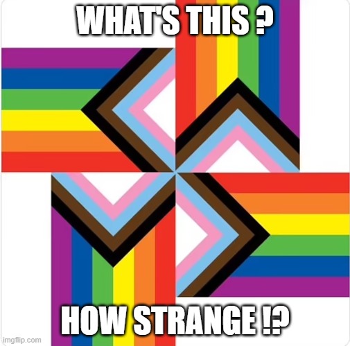 HOW STRANGE !? | WHAT'S THIS ? HOW STRANGE !? | image tagged in pride nazi | made w/ Imgflip meme maker