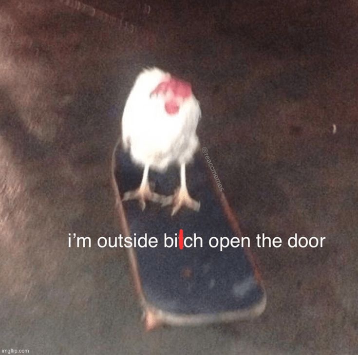 image tagged in memes | made w/ Imgflip meme maker