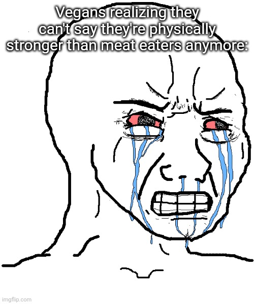 cry wojak | Vegans realizing they can't say they're physically stronger than meat eaters anymore: | image tagged in cry wojak | made w/ Imgflip meme maker