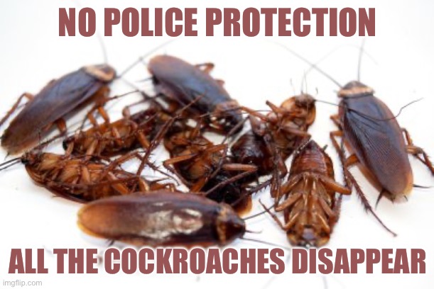 Cockroaches | NO POLICE PROTECTION; ALL THE COCKROACHES DISAPPEAR | image tagged in cockroaches | made w/ Imgflip meme maker
