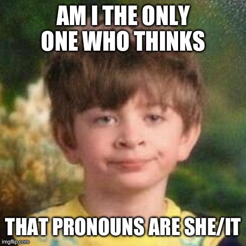 Blank Stare Kid | AM I THE ONLY ONE WHO THINKS; THAT PRONOUNS ARE SHE/IT | image tagged in blank stare kid | made w/ Imgflip meme maker