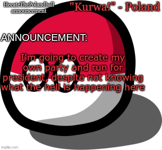 HecateThePolandball temp | I'm going to create my own party and run for president, despite not knowing what the hell is happening here | image tagged in hecatethepolandball temp | made w/ Imgflip meme maker