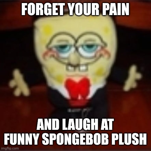 Spongebob Plush Meme | FORGET YOUR PAIN; AND LAUGH AT FUNNY SPONGEBOB PLUSH | image tagged in idk jpg | made w/ Imgflip meme maker
