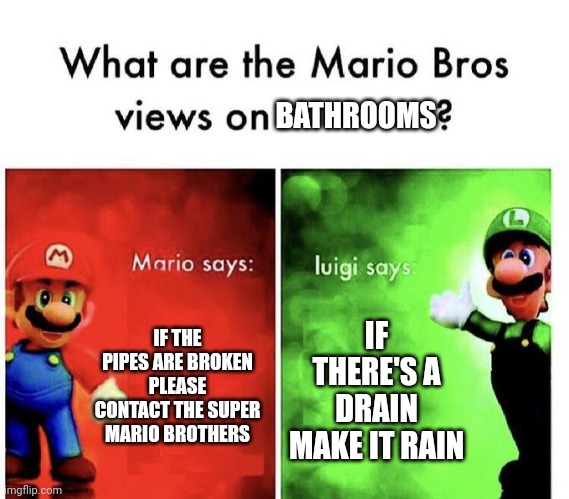 Mario Bros Views | BATHROOMS; IF THE PIPES ARE BROKEN PLEASE CONTACT THE SUPER MARIO BROTHERS; IF THERE'S A DRAIN MAKE IT RAIN | image tagged in mario bros views | made w/ Imgflip meme maker