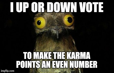 Weird Stuff I Do Potoo | I UP OR DOWN VOTE TO MAKE THE KARMA POINTS AN EVEN NUMBER | image tagged in memes,weird stuff i do potoo,AdviceAnimals | made w/ Imgflip meme maker