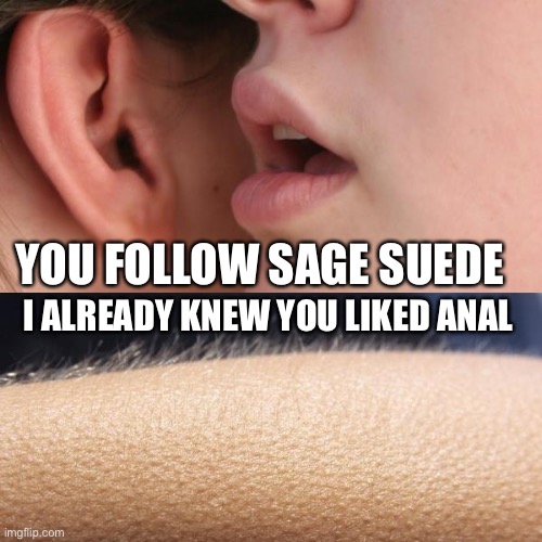 What kind of couch is this r/dankmemes