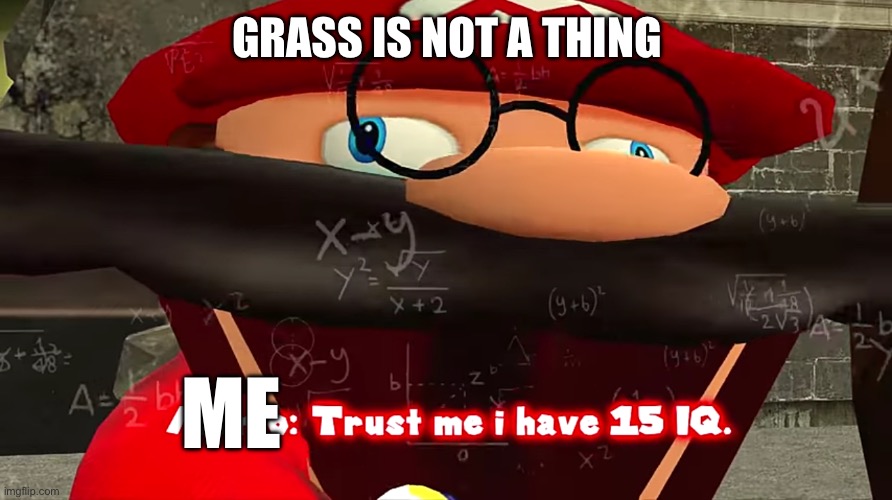 What is grass? | GRASS IS NOT A THING; ME | image tagged in trust me i have 15 iq,mario | made w/ Imgflip meme maker