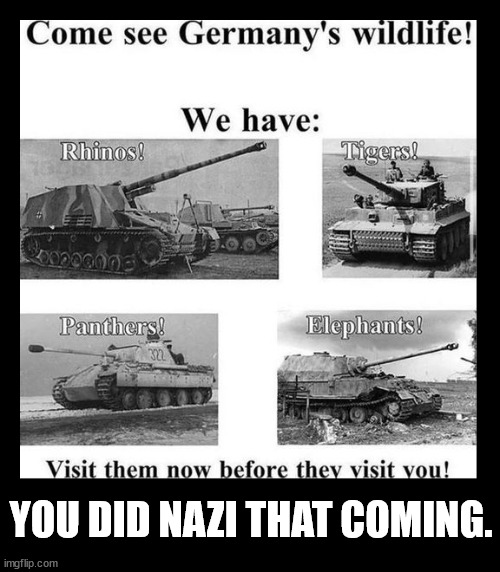 Well, you didn't. | YOU DID NAZI THAT COMING. | image tagged in ww2,german,tanks | made w/ Imgflip meme maker