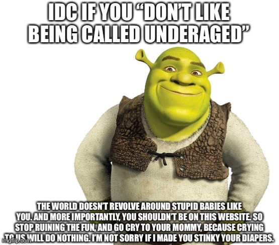 Idc if you don’t like being called underaged | image tagged in idc if you don t like being called underaged | made w/ Imgflip meme maker