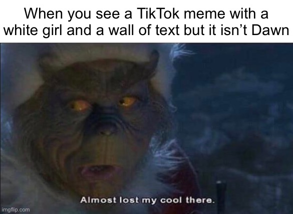 Almost Lost My Cool There | When you see a TikTok meme with a white girl and a wall of text but it isn’t Dawn | image tagged in almost lost my cool there | made w/ Imgflip meme maker