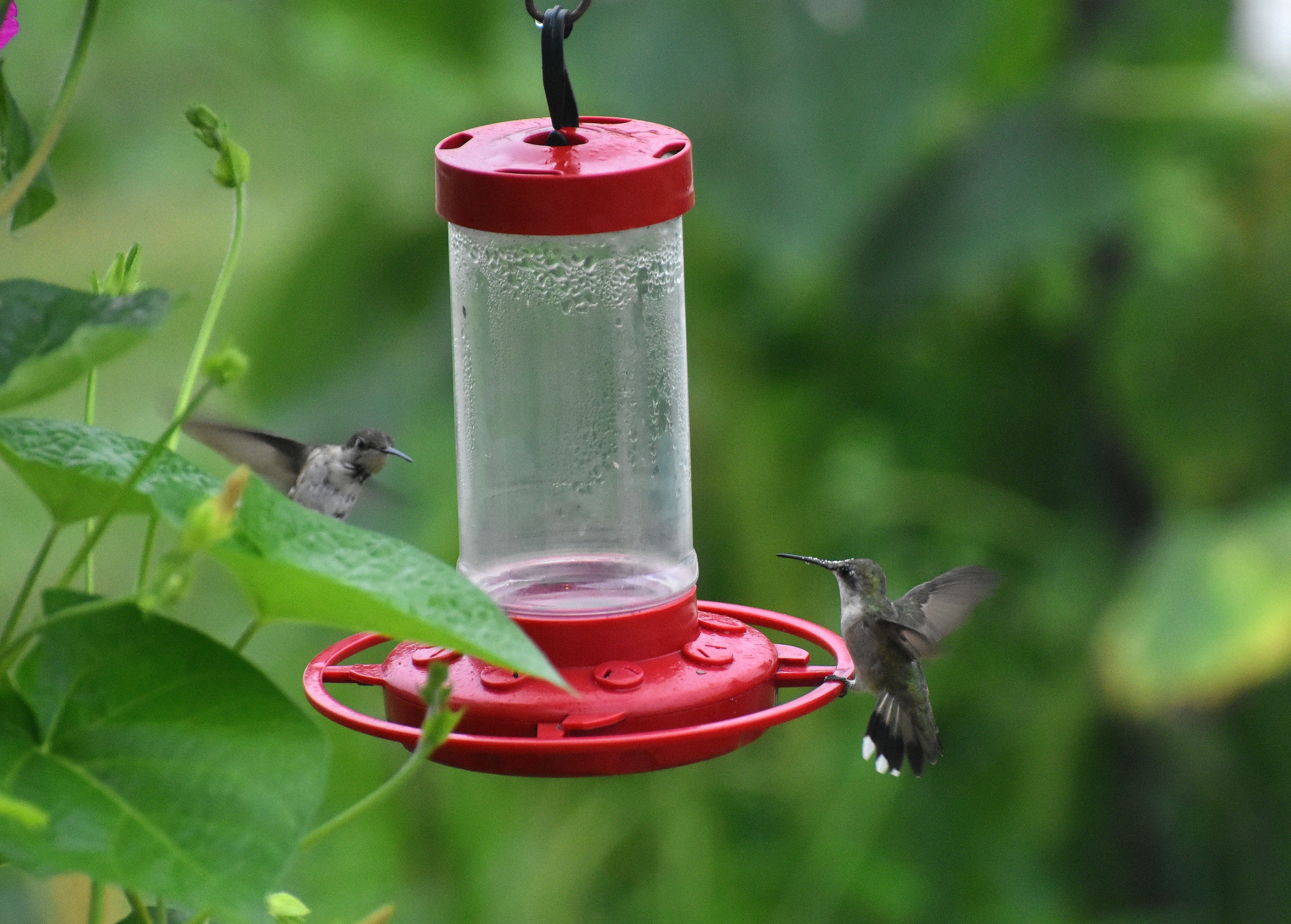 hummers | made w/ Imgflip meme maker