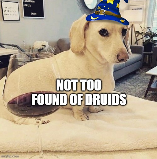 wizard posting | NOT TOO FOUND OF DRUIDS | image tagged in homophobic dog | made w/ Imgflip meme maker