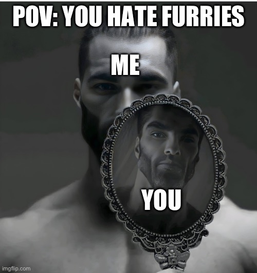 ? | POV: YOU HATE FURRIES; ME; YOU | image tagged in gigachad mirror | made w/ Imgflip meme maker