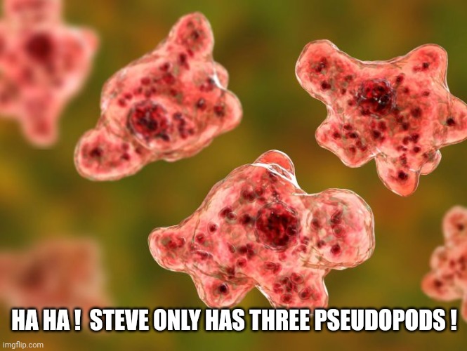 brain eating amoebas | HA HA !  STEVE ONLY HAS THREE PSEUDOPODS ! | image tagged in brain eating amoebas | made w/ Imgflip meme maker