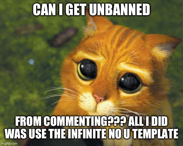 cat plz | CAN I GET UNBANNED; FROM COMMENTING??? ALL I DID WAS USE THE INFINITE NO U TEMPLATE | image tagged in cat plz | made w/ Imgflip meme maker