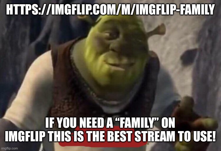 Shrek good question | HTTPS://IMGFLIP.COM/M/IMGFLIP-FAMILY; IF YOU NEED A “FAMILY” ON IMGFLIP THIS IS THE BEST STREAM TO USE! | image tagged in shrek good question | made w/ Imgflip meme maker