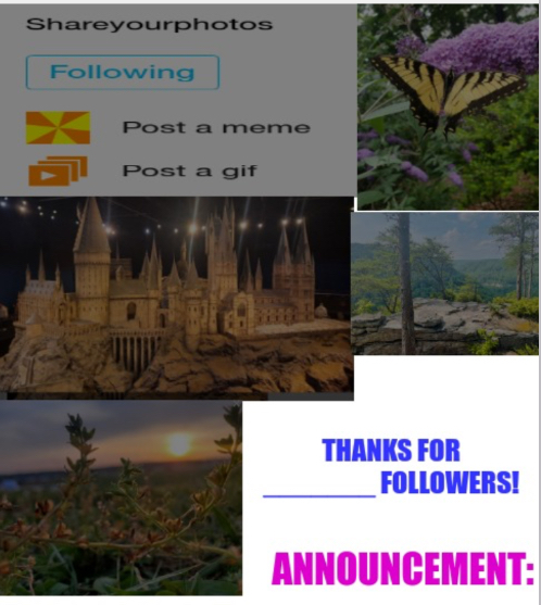 Shareyourphotos announcement Blank Meme Template