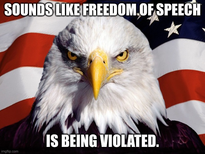 Freedom Eagle | SOUNDS LIKE FREEDOM OF SPEECH IS BEING VIOLATED. | image tagged in freedom eagle | made w/ Imgflip meme maker